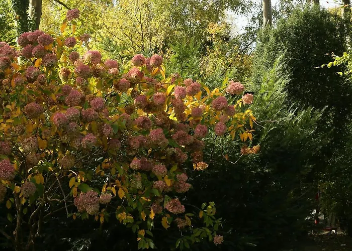 Σπίτι διακοπών Architectural Retreat On North Zealand's Coast Dronningmølle